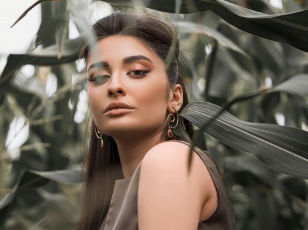 Dvanaest dana, dvanaest moćnih stanja