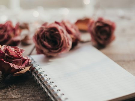 Mjesec dana manifestacija