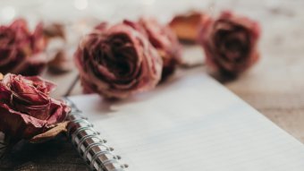 Mjesec dana manifestacija